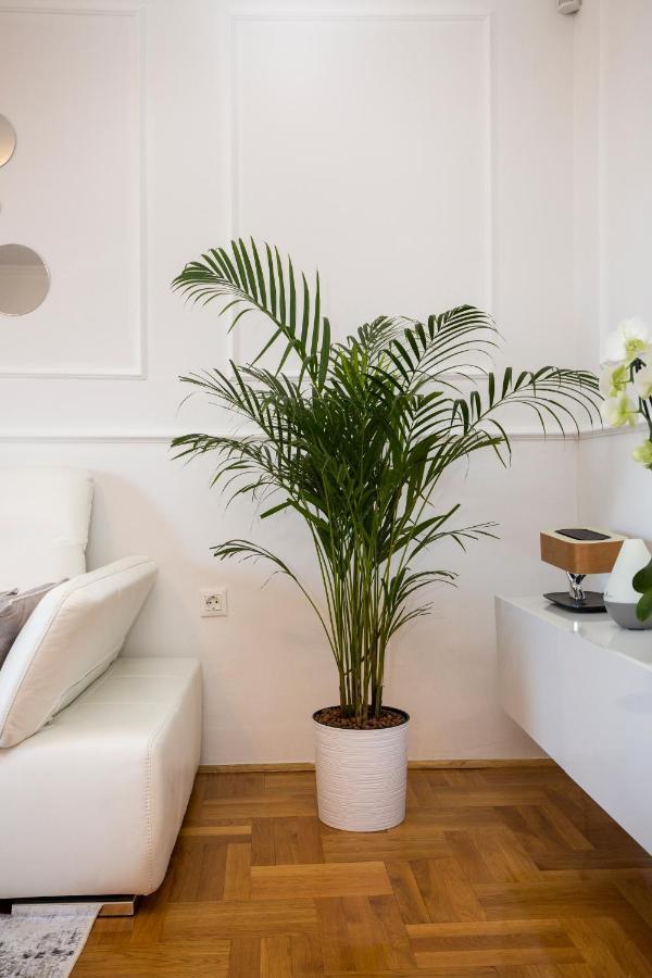 Apartment Parentium โปเรช ภายนอก รูปภาพ